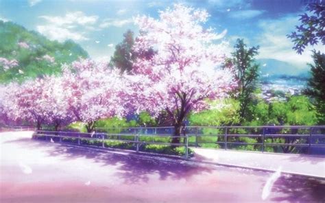 Cherry Blossoms Are Unbreakable Anime Amino