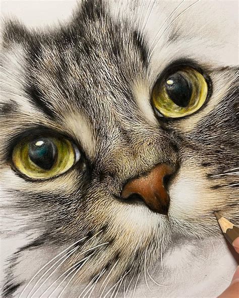 Discover 81 Cat Sketch Realistic Ineteachers