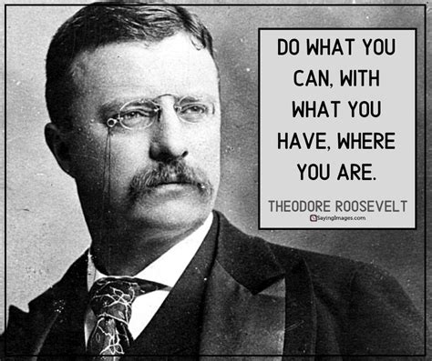 30 Theodore Roosevelt Quotes On Building A Name Worth Remembering
