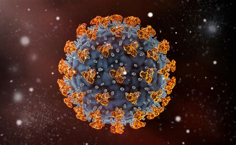 Human Coronavirus Oc43 Spike Protein The Native Antigen Company