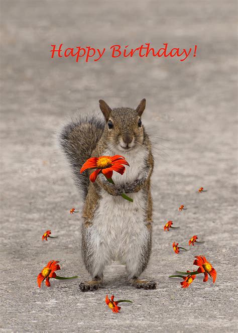 Happy Birthday From Squirrel Photograph By Zina Stromberg Pixels