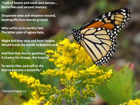 Butterfly Encouragement Quotes Quotesgram