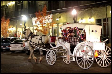 Christmas Horse And Carriage Rides Near Me Leatha Rector