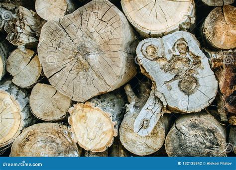 Pile Of Natural Wooden Logs Background Stock Photo Image Of Forestry