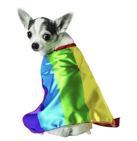 Rainbow Dog Cape Pet Costume Center