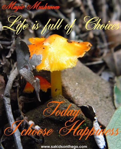 Discover 142 quotes tagged as mushrooms quotations: magic mushroom | Family quotes inspirational, Family quotes, Choose happy