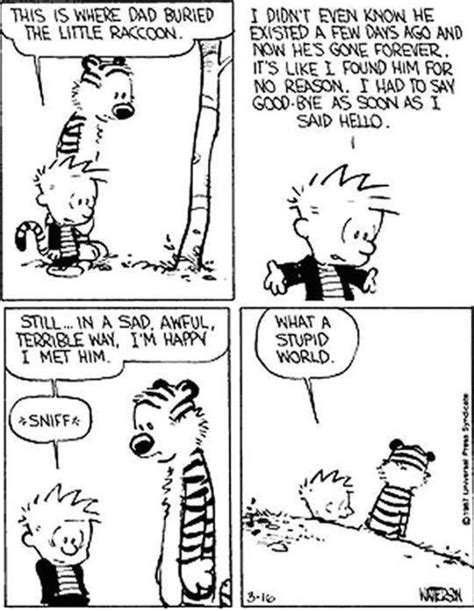 Calvin And Hobbes Growing Up