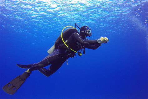 10 Enigmatic Facts About Scuba Diving