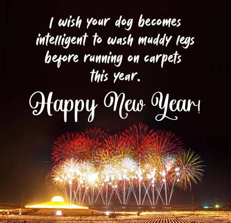 150 Funny New Year Wishes And Quotes 2024 Wishesmsg