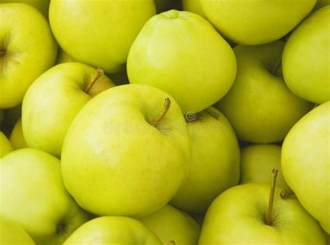 Green Apples Background Stock Image Image Of Apple Background 58253315