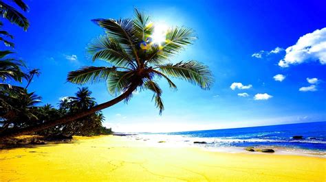 1920x1080 Beach Sand Sun Ocean Nature Tropics Glare Palm Trees