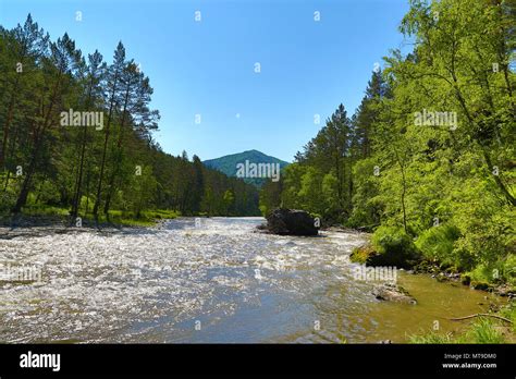 Mountain River Sema Landscape In Altai Stock Photo Alamy