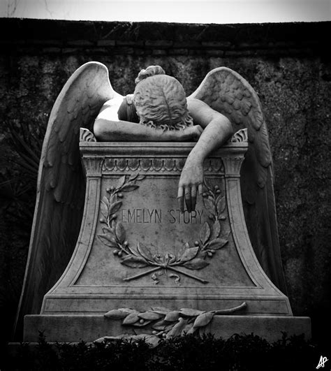 Fallen Angel • Alberto Palladino Reporter
