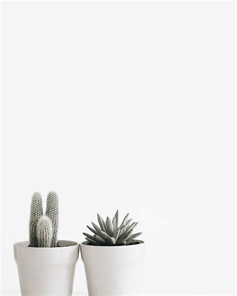You can also upload and share your favorite white aesthetic desktop wallpapers. white minimalism pinned by @// BIRAMBI … | Plant aesthetic ...