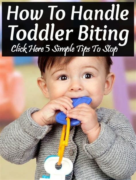 5 Simple Tips To Stop A Toddler From Biting Facts Toddler Biting And
