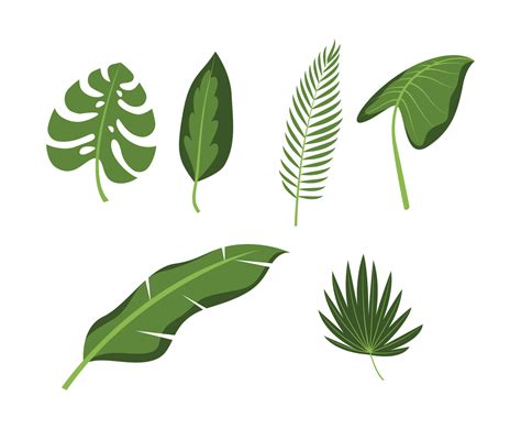 Tropical Leaves Set Vector Art And Graphics