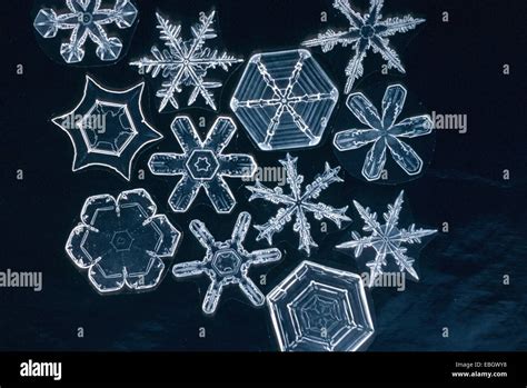 Crystal Of Snow Ice Crystal Microscopic Photograph Stock Photo Alamy