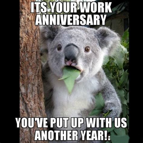 Anniversary Memes Happy Work Anniversary Funny You Get Another Day Of