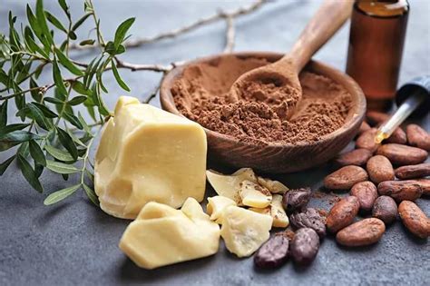 Eight Amazing Organic Cocoa Butter Benefits Inscmagazine