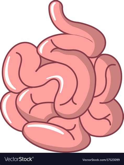 Small Intestine Icon Cartoon Style Royalty Free Vector Image