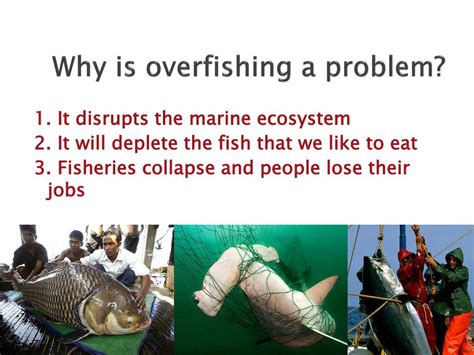 Ppt Overfishing A Global Disaster Powerpoint Presentation Free