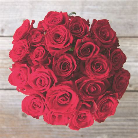 Dark Pink Roses And So Much More At As Always Farmdirect