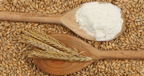 What Is Malted Barley Flour What Its Made Of Substitutes