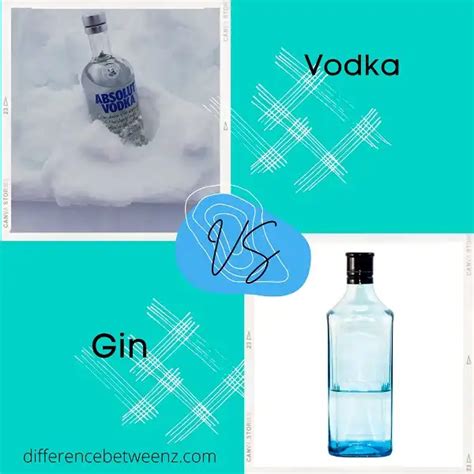 Difference Between Vodka And Gin Difference Betweenz