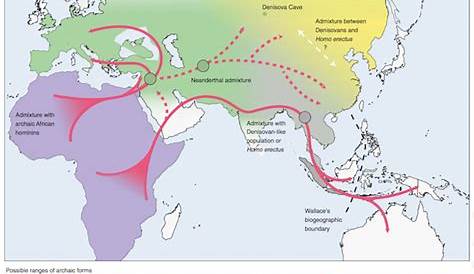 Ancient Human Migration Map