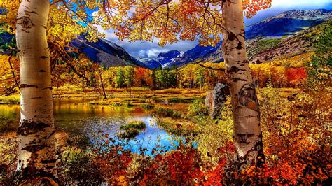 1920x1080 Autumn Scenery Wallpaper Beautiful Fall Landscape