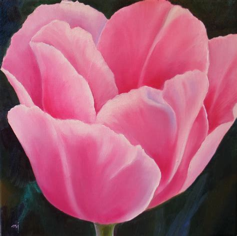 Free Photo Pink Tulip Bloom Blooming Flower Free Download Jooinn