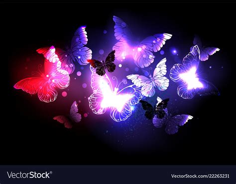 Swarm Of Night Butterflies Royalty Free Vector Image