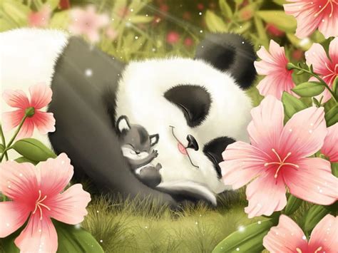 Cute Panda And Cub Hd Desktop Wallpaper Widescreen High Definition