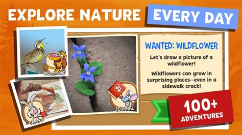 Nature Cats Great Outdoors By Pbs Kids