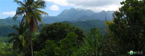 what to do in dominica activities and attractions on the nature island of the caribbean a