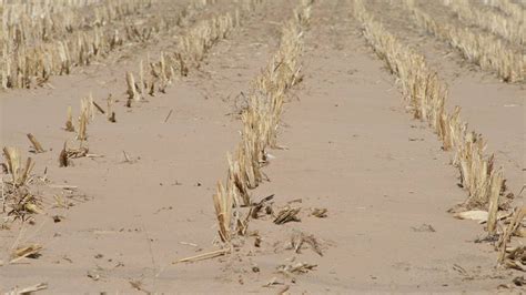 In Drought Hit Kansas Desperation Is The Only Thing Growing Wichita