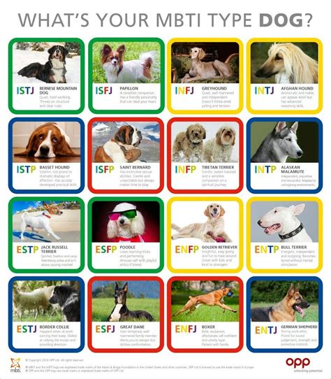 Entp Dogs Mbti Personality Types Personality Types Chart