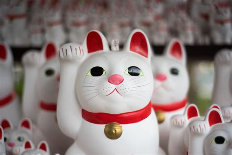 Whether it is for your boss, coworkers or friends, there are a few things. 61 Incredible Souvenirs from Japan | You Could Travel