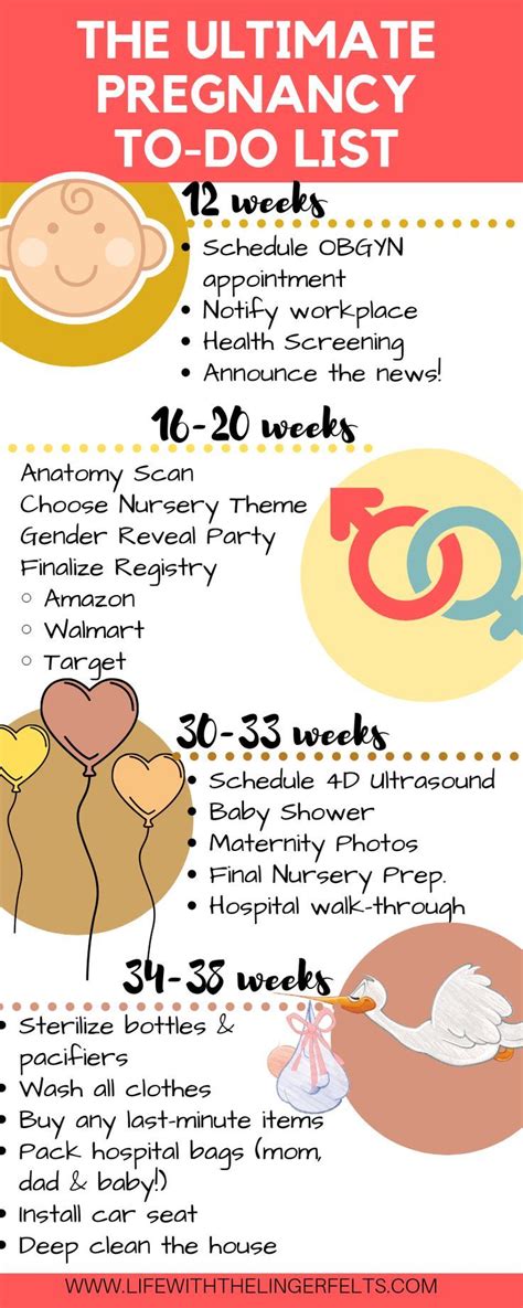 First Time Pregnancy Tips Equi Utility