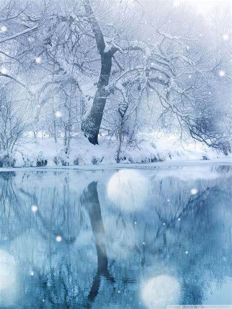 Download Winter Cell Phone Wallpaper Gallery