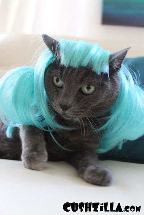 Cat Wig Dog Wig Cushzilla Aqua Anime Pet Wig