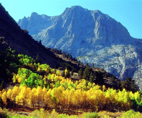 Usa California Sierra Nevada Mountains Photograph By Jaynes Gallery