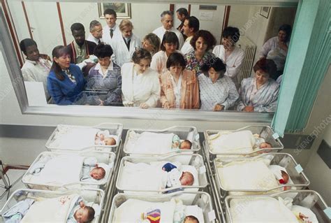 Nurses With Newborn Babies In A Hospital Nursery Stock Image M815