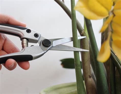 Tabor Tools K18a Straight Pruning Shears Florist Scissors Multitasking