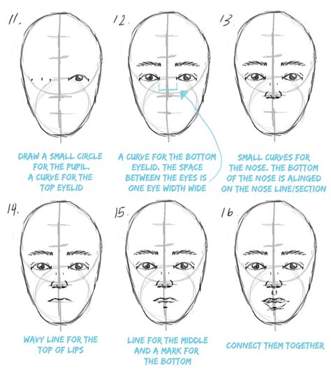 How To Draw The Proportions Of Face Intelligencesupply