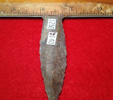 Cumberland Paleo Artifact Insight Coa Fossils And Artifacts For Sale