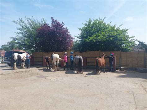 Own A Pony For A Day Bank Farm Riding School Learn To Ride In Stockport