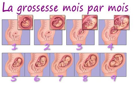 Nghe bài hát foetus chất lượng cao 320 kbps lossless miễn phí. Développement enfant - Savoir.fr