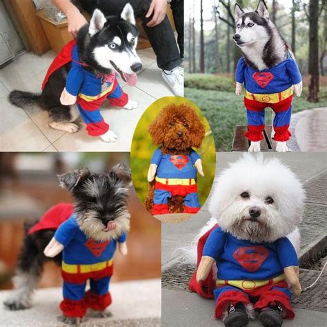 Super Dog Costume Pet Costumes Unicorn Dog Costume