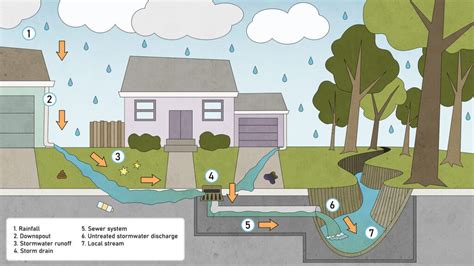 green infrastructure greening stormwater management systems ldp watersheds